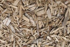 biomass boilers Liphook